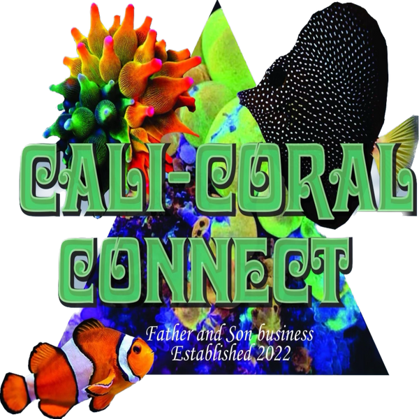 Cali Coral Conenct logo
