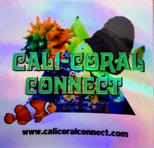 CCC Holographic Stickers