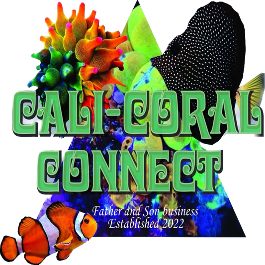 Cali Coral Connect's Gift Card