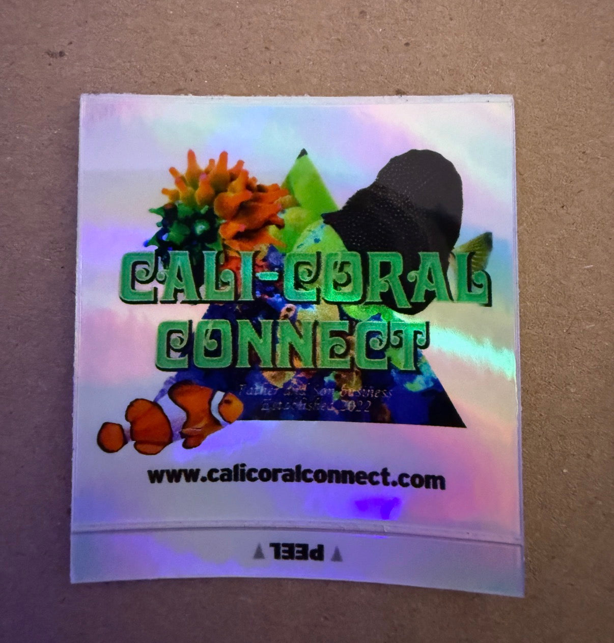 CCC Holographic Stickers